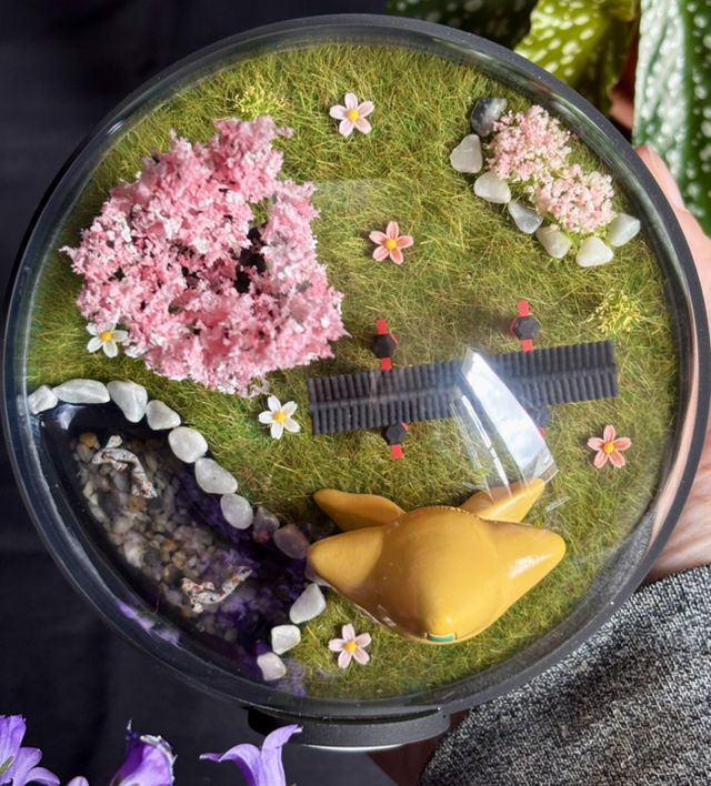 🌸 Terrarium Pokémon - Édition Japon - Jirachi