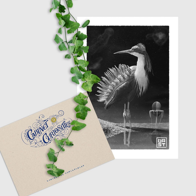 Ardea Brankhia Cinerea