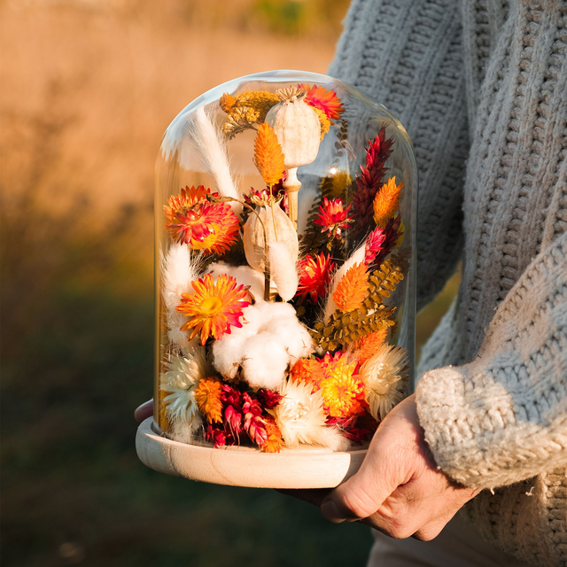 Cloche Coton d’Ambre — Création florale sous cloche | YSSEJ DESIGN