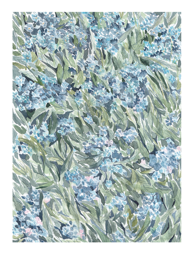 CVETJE Spominčice Print