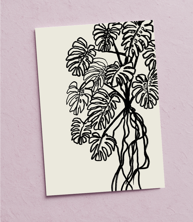 “Monstera” Postkarte 