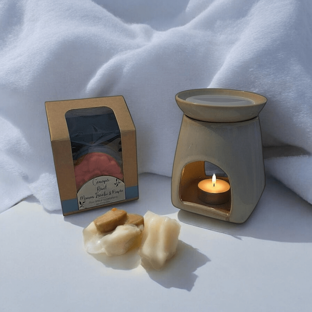 Kit Fondants Parfumés – Maison Fraîche et Propre