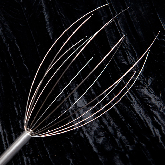 Brosse massage tête