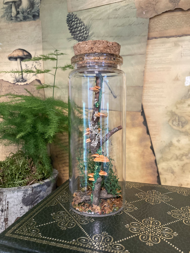 Champignon d&#039;arbre orange