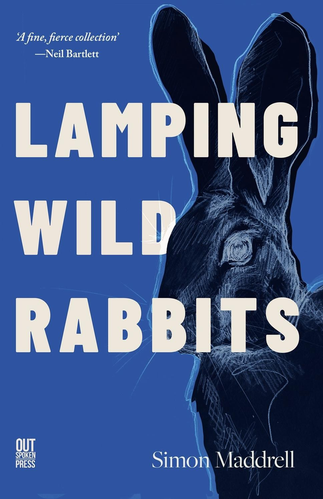 lamping wild rabbits
