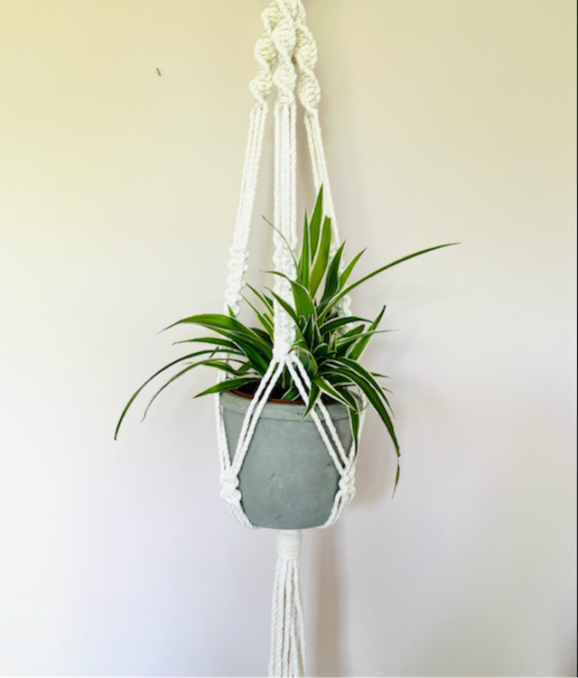 Long Plant Hanger