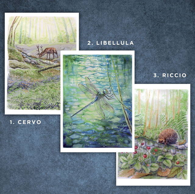 "Animali del Bosco, serie 1" - Riproduzioni numerate 