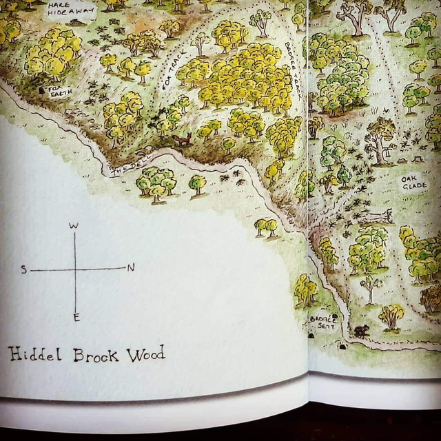 Book: The Tree That Held The Moon