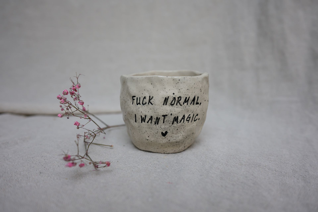 FU*K NORMAL I WANT MAGIC SIP CUP 