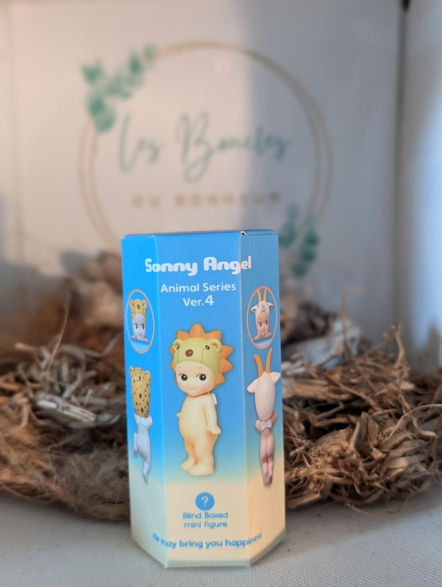 Sonny Angel hippers 