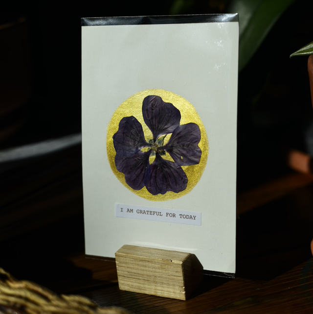carte postale • i am grateful for today