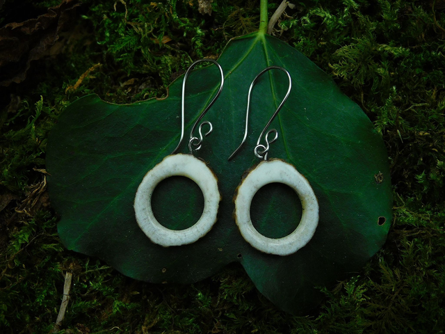 Boucles pendantes- Cercles de petite taille