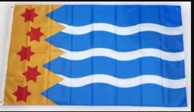 Grote vlag Oldambt (150x90cm)