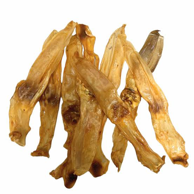 Oreille de lapin sans poils 