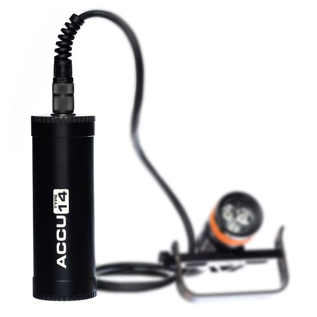 AMMONITE accus type 14