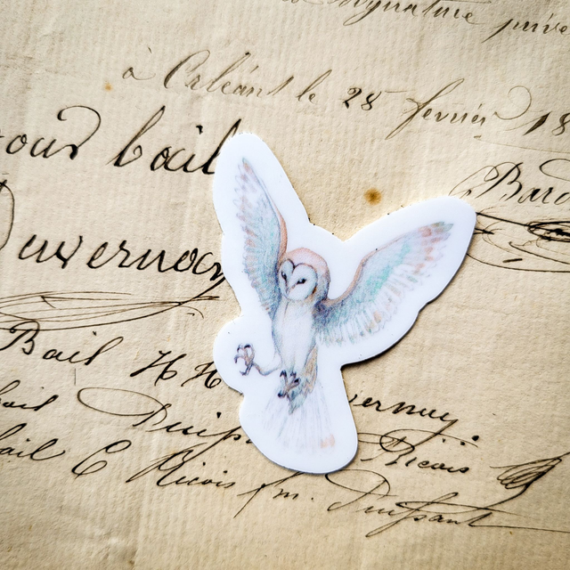 Stickers &quot;Chouette Effraie&quot;