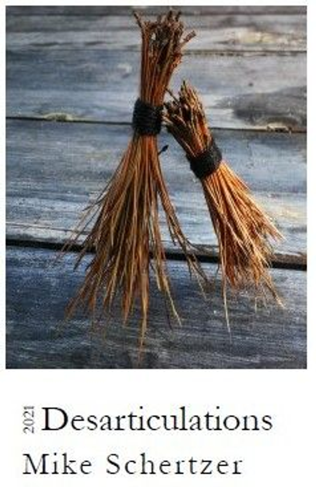 Desarticulations (recent additions to A Personal Dictionary)