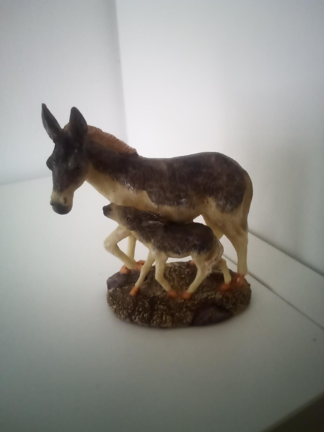 Âne avec bébé debout 