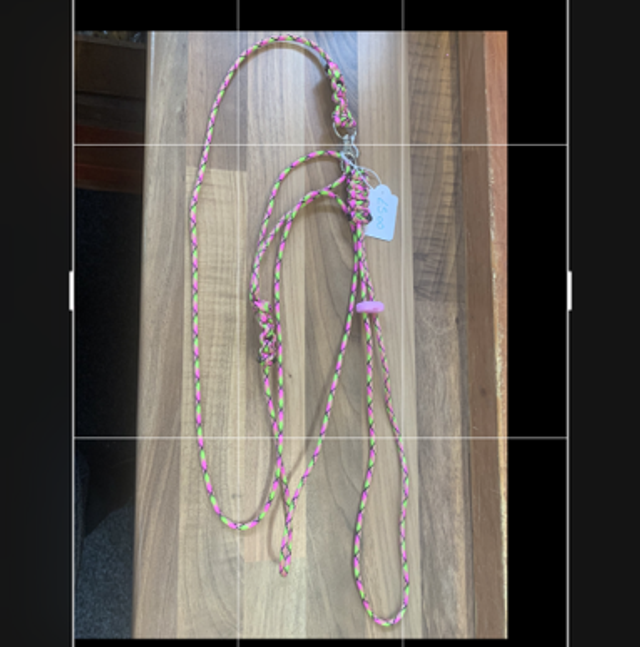 Figure 8 harness and lead set