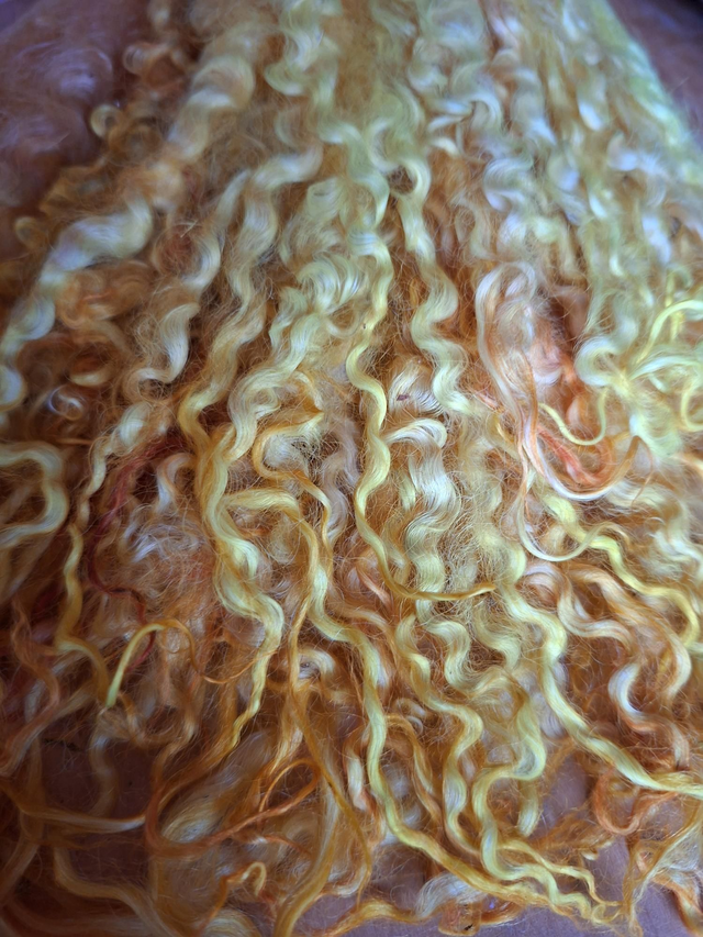 Boucles26002 teeswater teinte main 42g