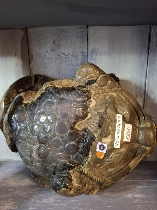 Volcano Agate Money Toad