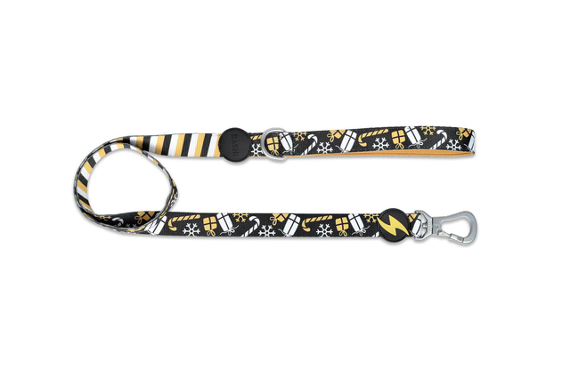 Spark Leash