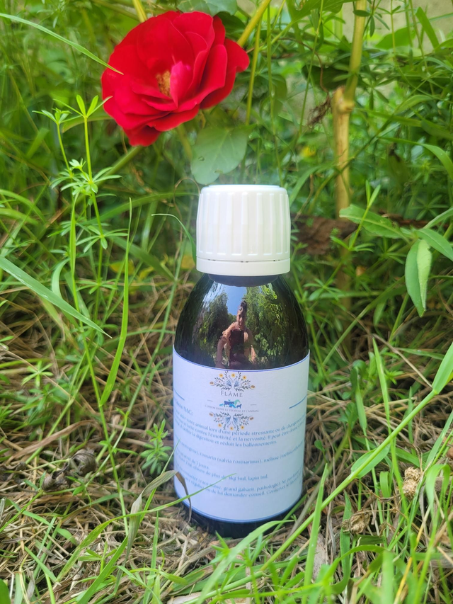 Zen et calme Chats/Chiens/Nac