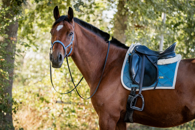 Kaptoom Base (basic)