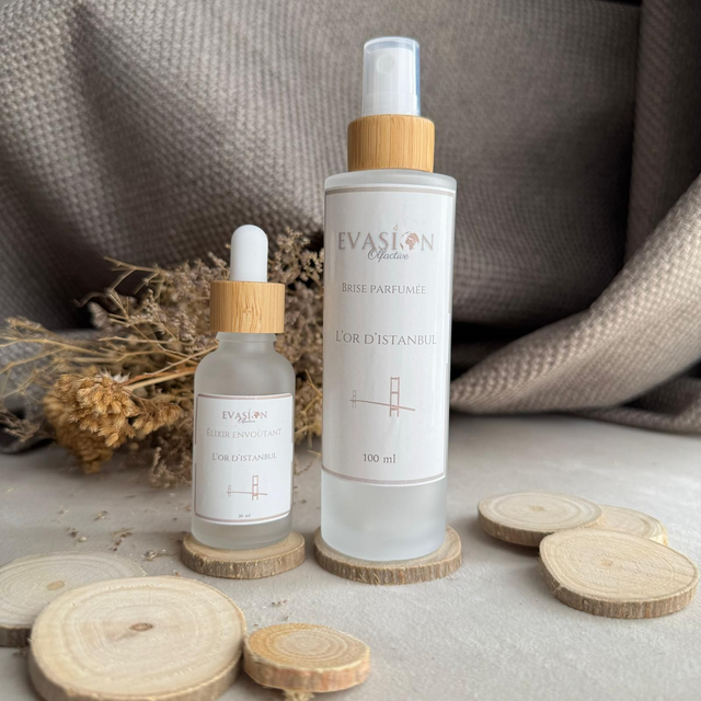 Evasion d&#039;or Istanbul