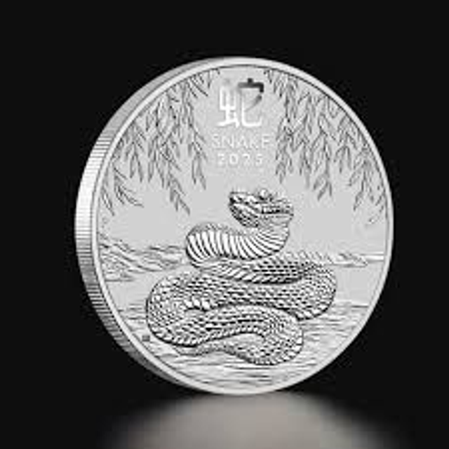 zilveren Lunar 2025 1 oz (2 stuks)