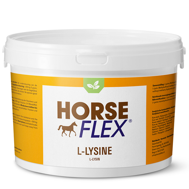 HorseFlex - L-lysine 250g