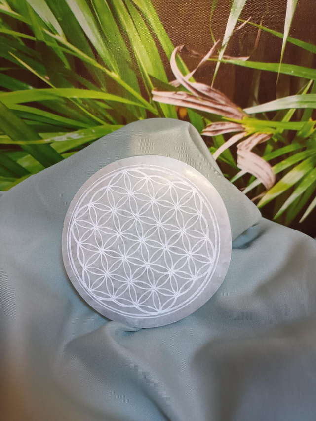 Fleur de vie en sélénite – 10 cm