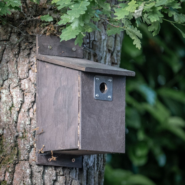 Nest Box - 28mm Nest Box for Great Tit / Tree Sparrow