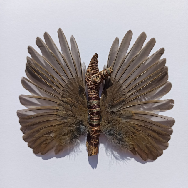 Sylphide (en marron)