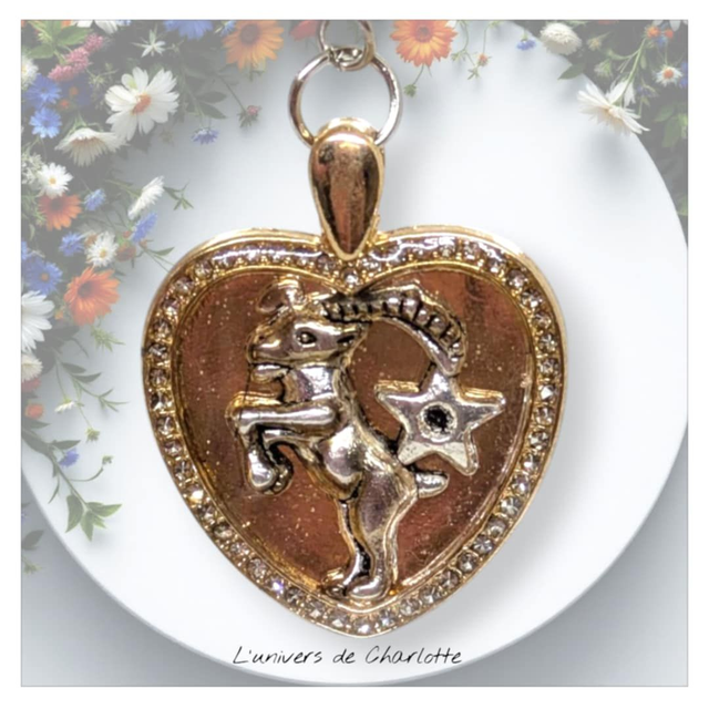 Porte-clés "Zodiaque" coeur