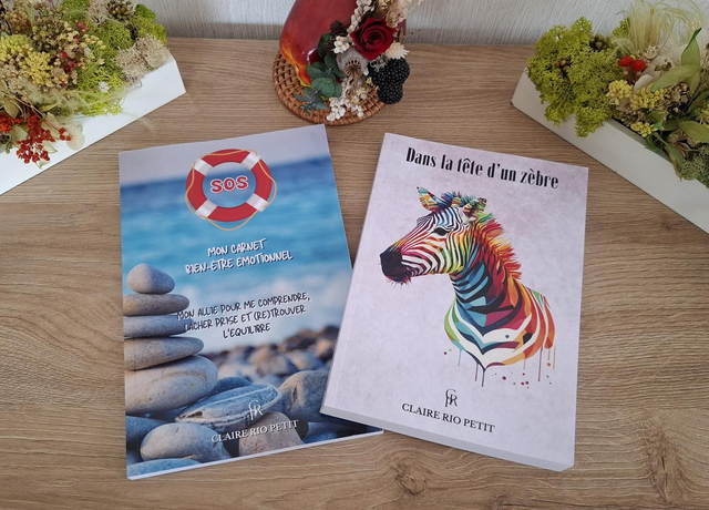 Dans la tête d'un zèbre + SOS, mon carnet bien-être émotionnel 