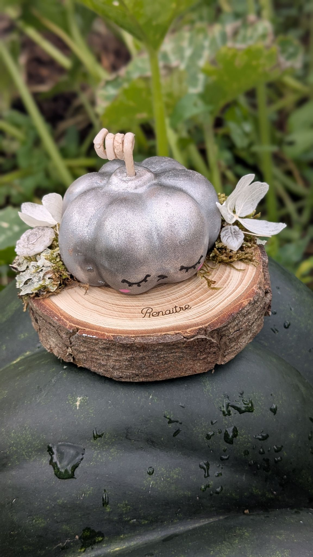 Patty la citrouille 🎃🧡