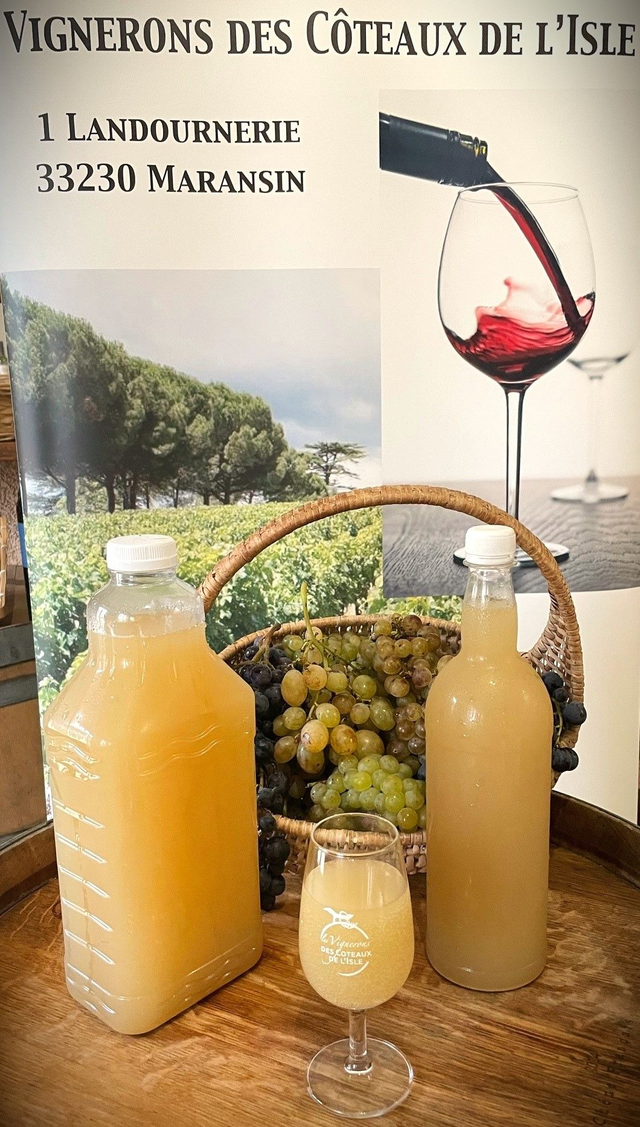 Bourru Blanc (retrait boutique uniquement)