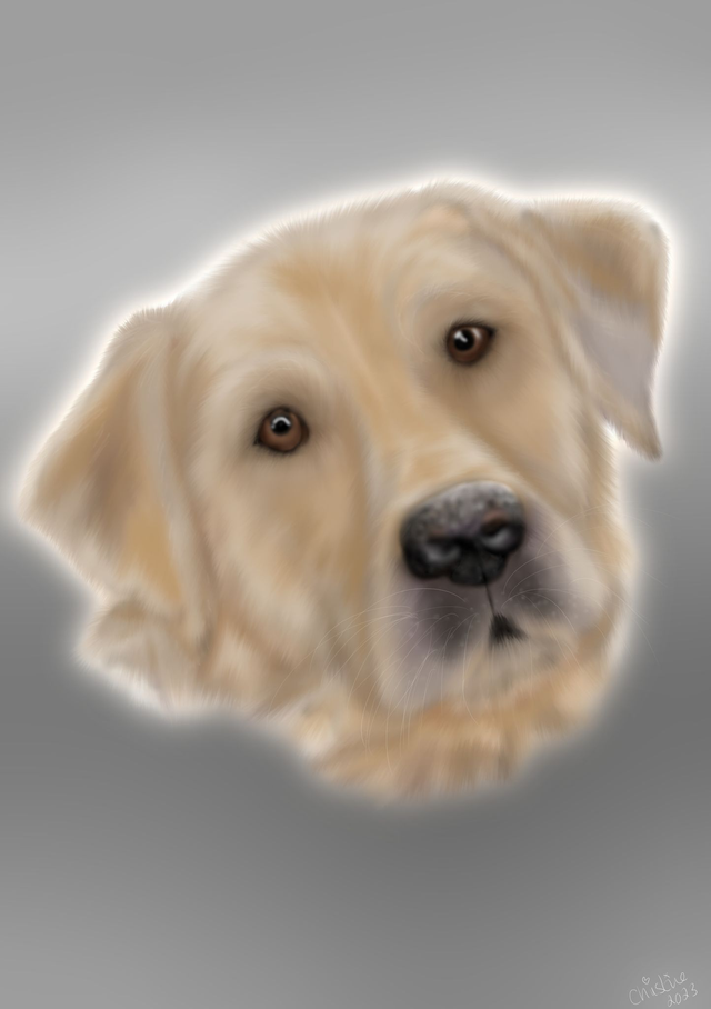 Custom Pet portrait A3 one pet 