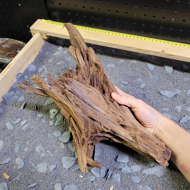 Driftwood Large