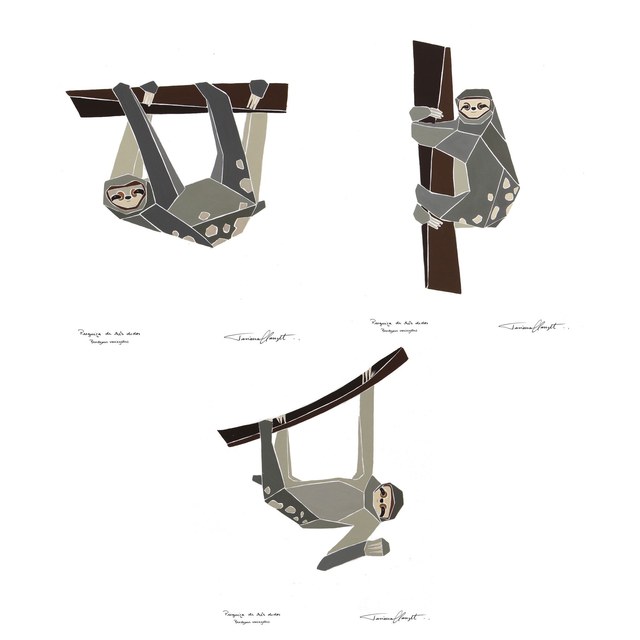 Conjunto de Reproduções "PREGUIÇAS"