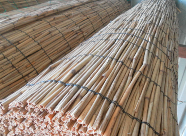 Roseau rouleau 70 tiges 1,5X10M 