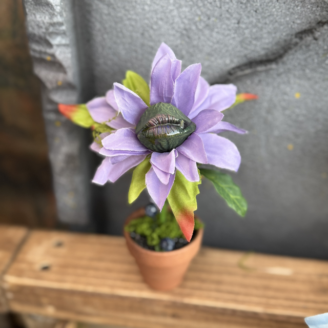  🌸 Specimen: The Lavendermouth Bloom