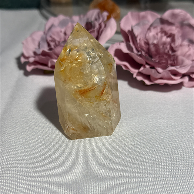 Brazilian golden healer 