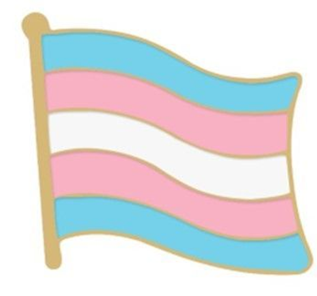 Transgender Flag Shaped Enamel Badge