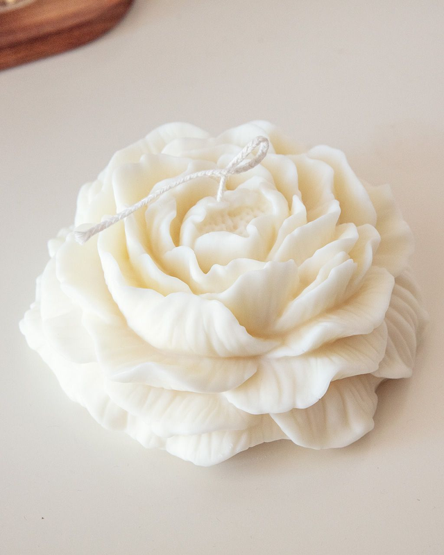 Peonia romantica grande