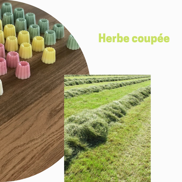 Herbe coupée