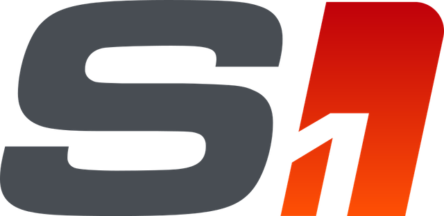 Stage 1 + Flex Fuel (Véhicule après 2012).