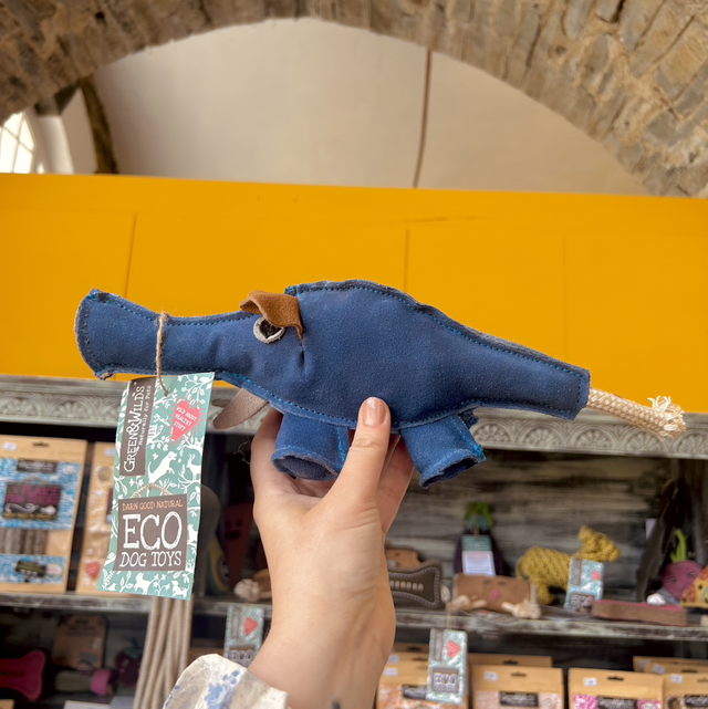 Green & Wild's Dino the Dyno Fish, Eco Dog Toy