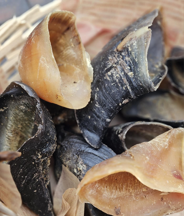  Hollow Hooves "Hoofs"